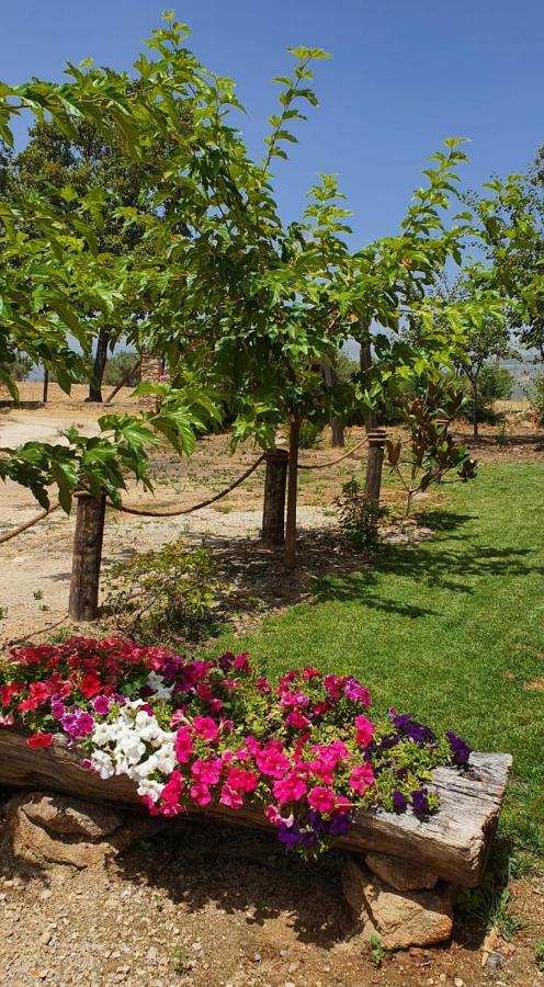 casa Rural Las Traviesas Candeleda Bagian luar foto